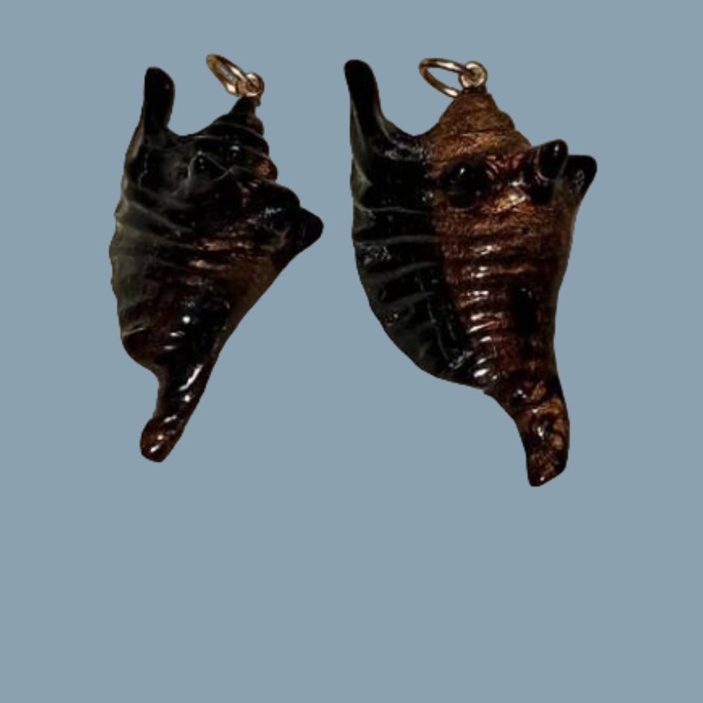 genuine shell pendants - 2 pieces